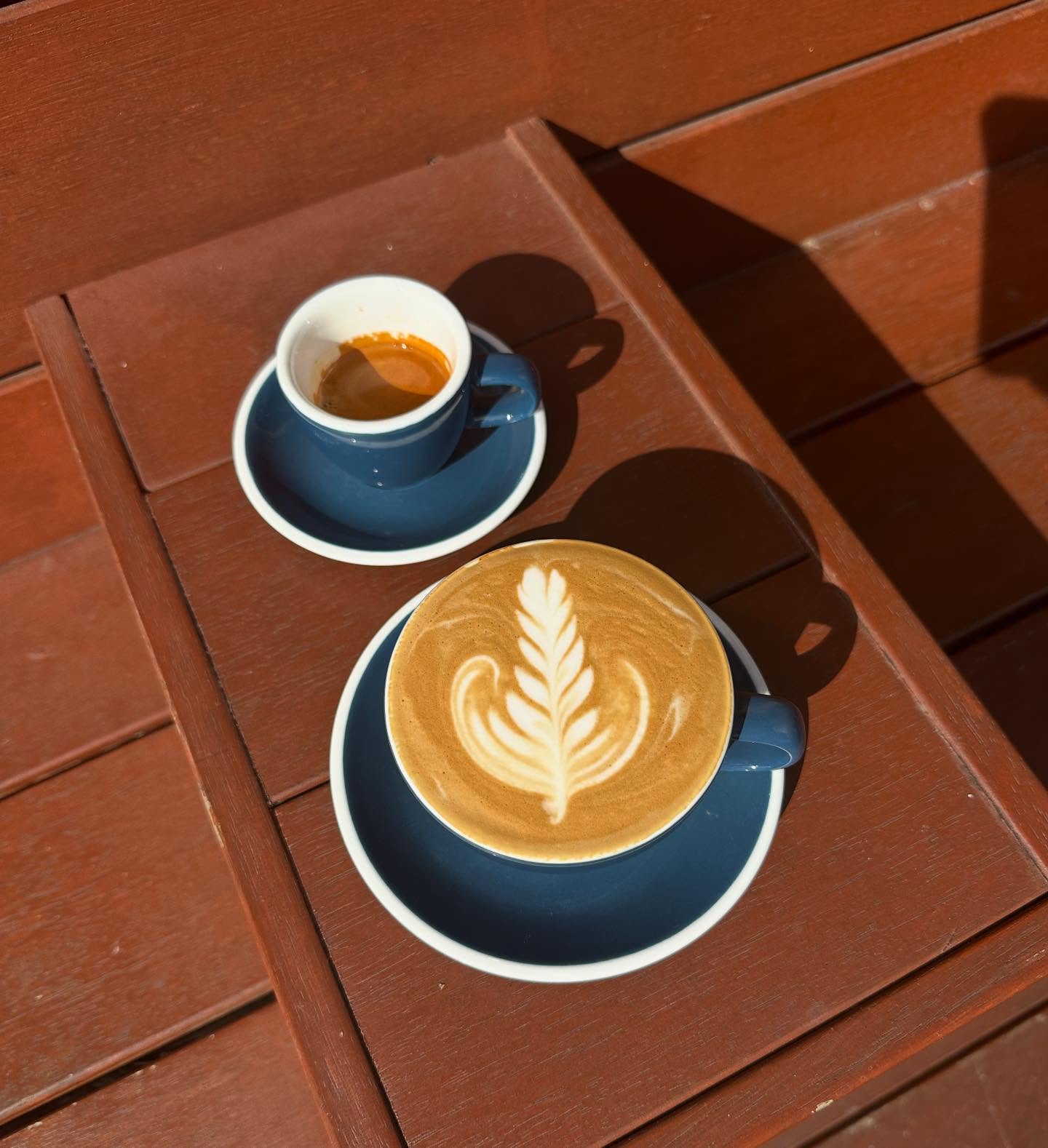Darkstar Coffee Roasters