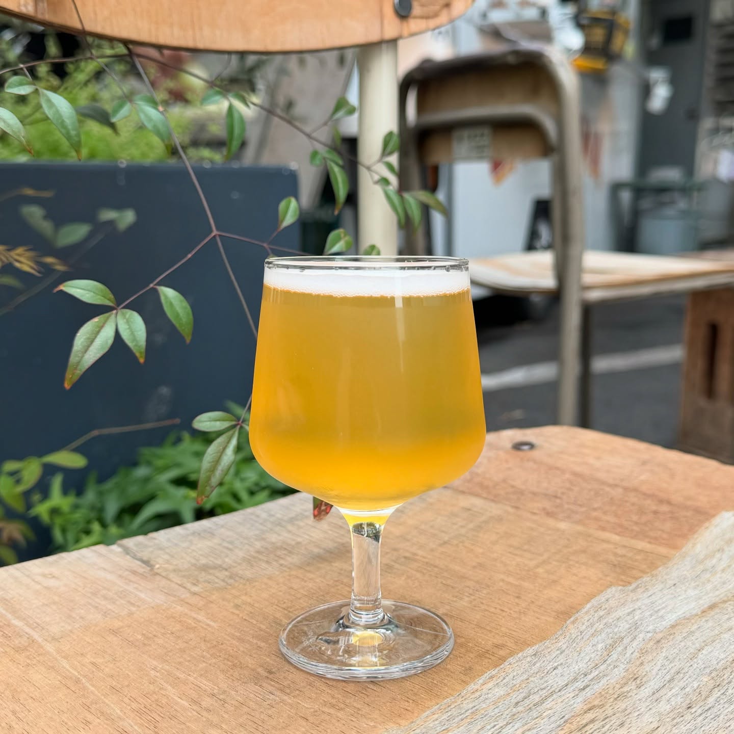 ØL by Oslo Brewing Co.
