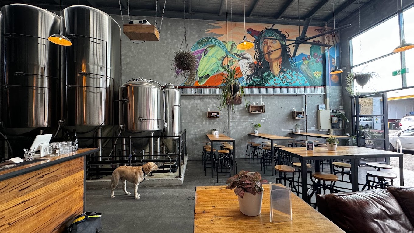 Hop Nation Brewing Co.