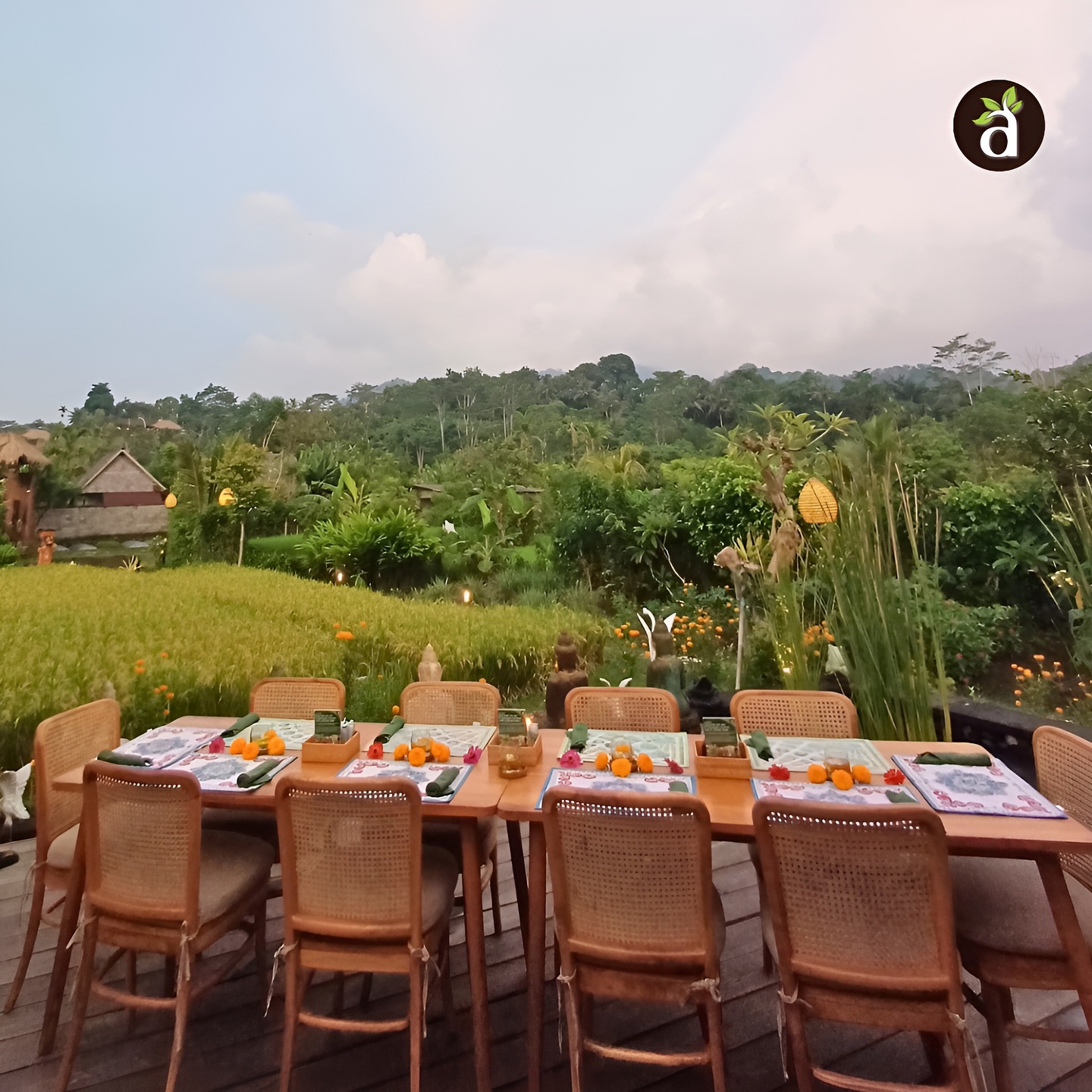 Anandinii Organic Garden & Kitchen