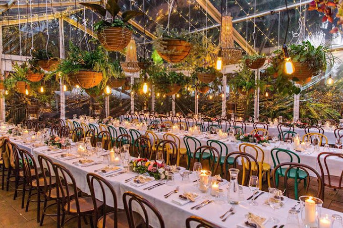 Wild Canary Bistro