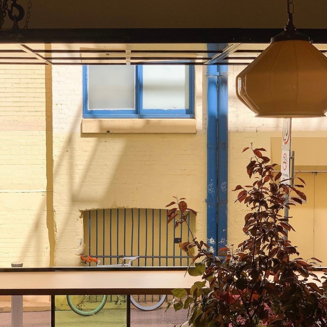 Felix For Goodness