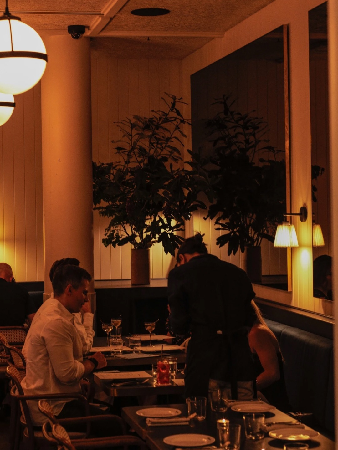 The Palomar