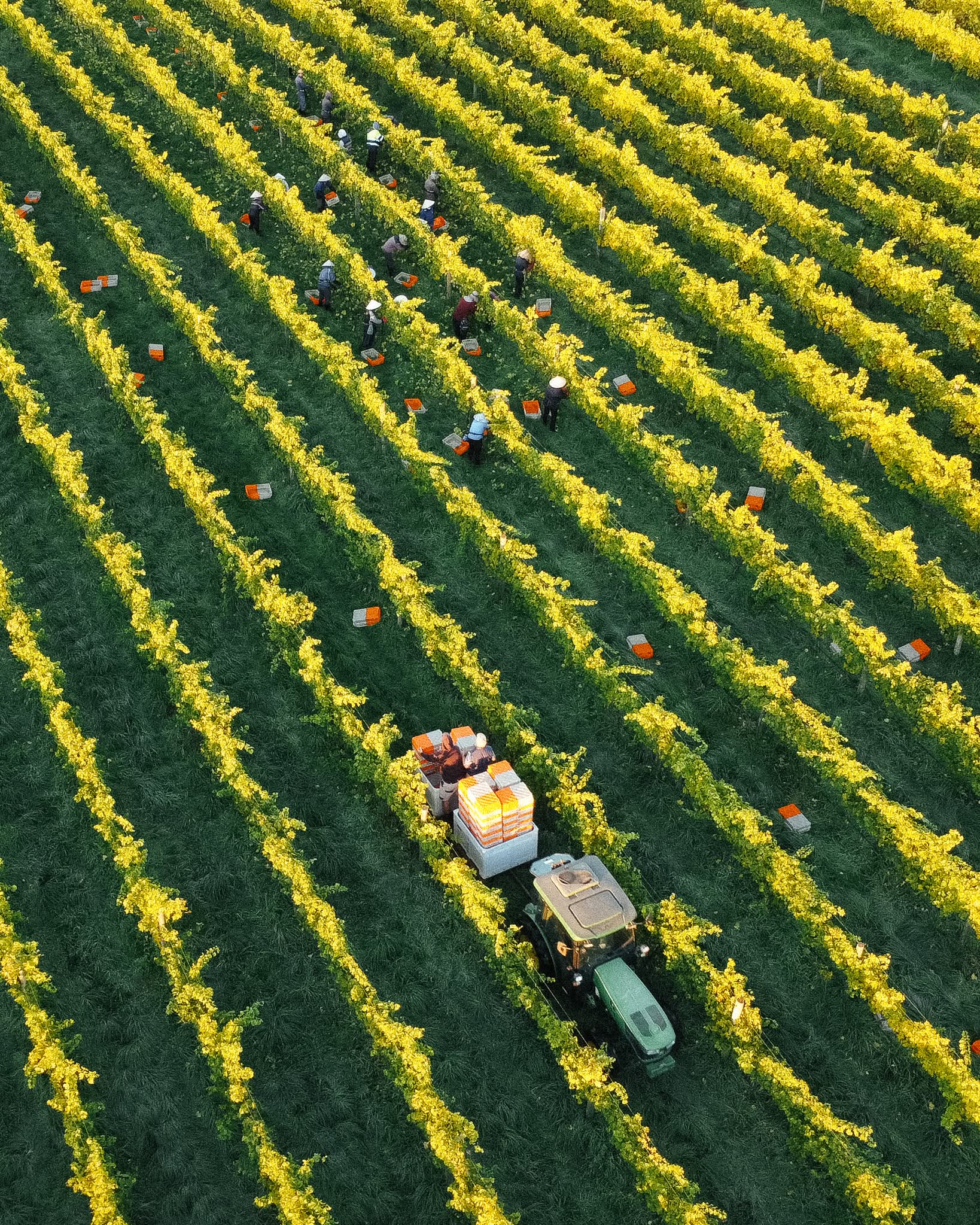 Shadowfax Winery