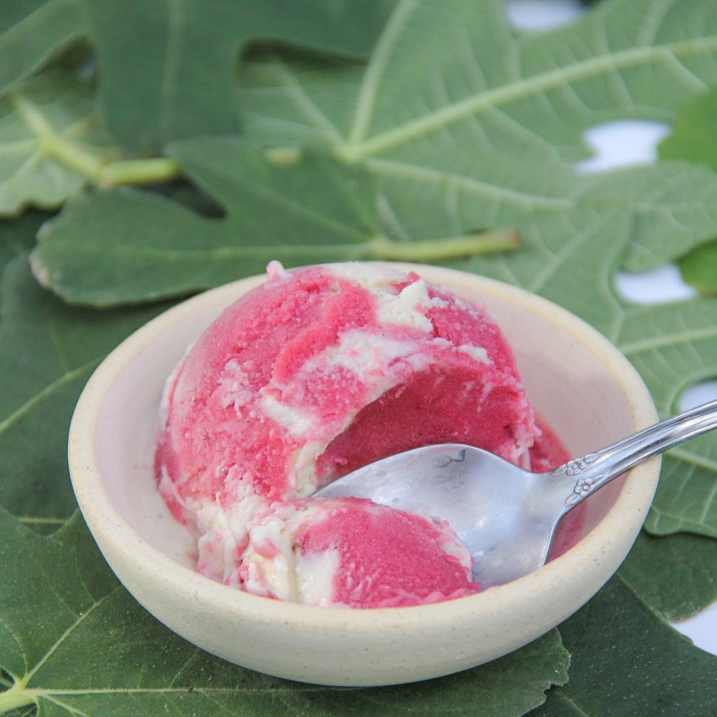 Yummo Ice Cream