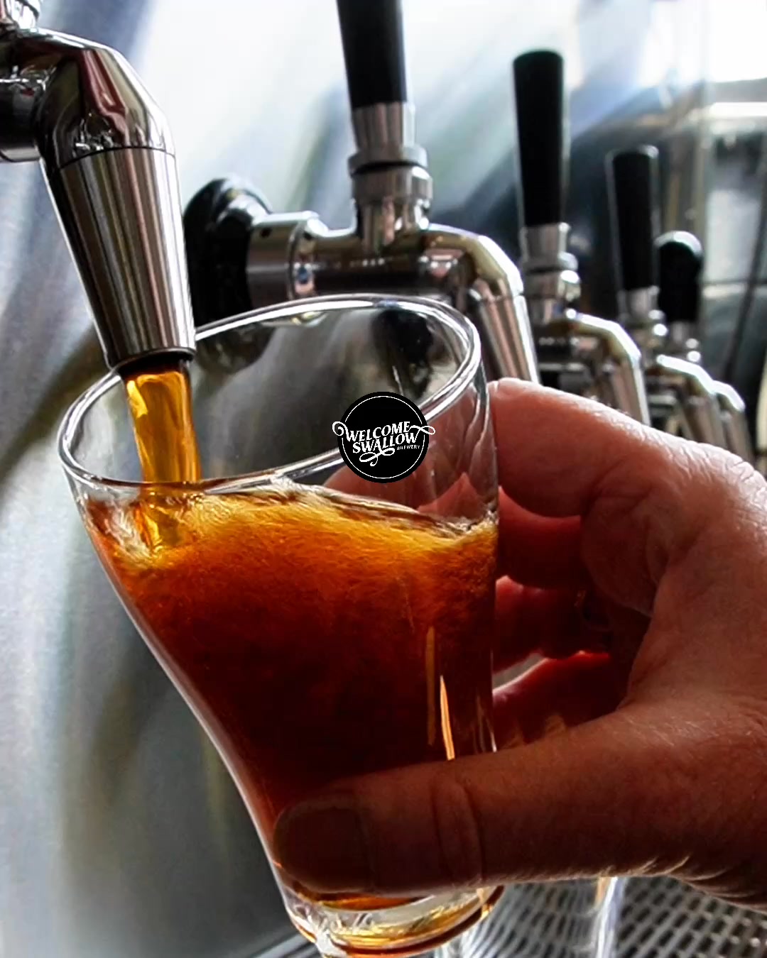 Welcome Swallow Brewery