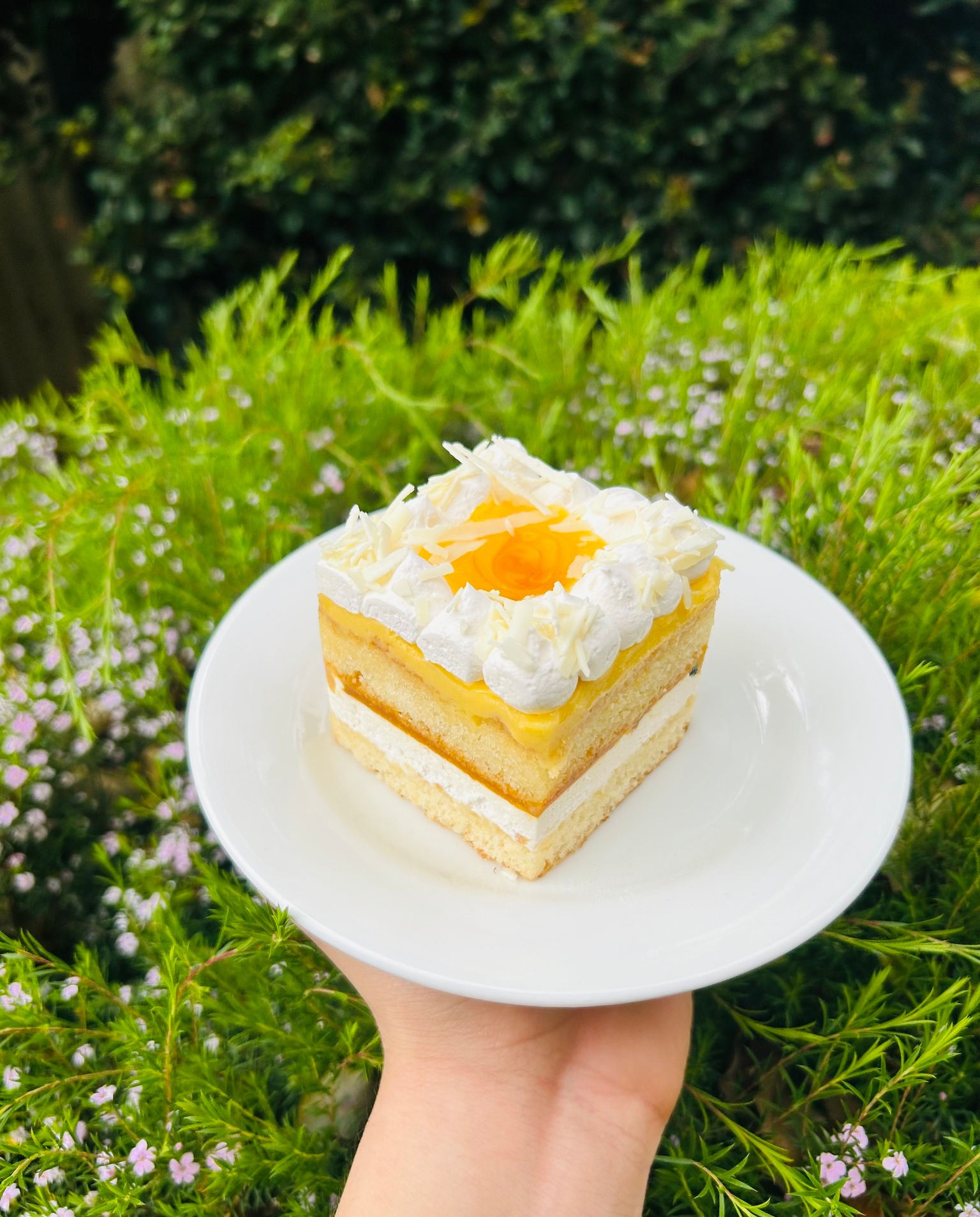 Boulangerie 113