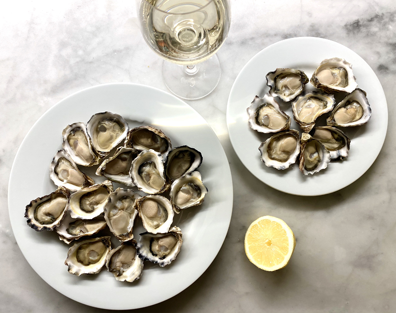 Port Phillip Estate and Kooyong Wines