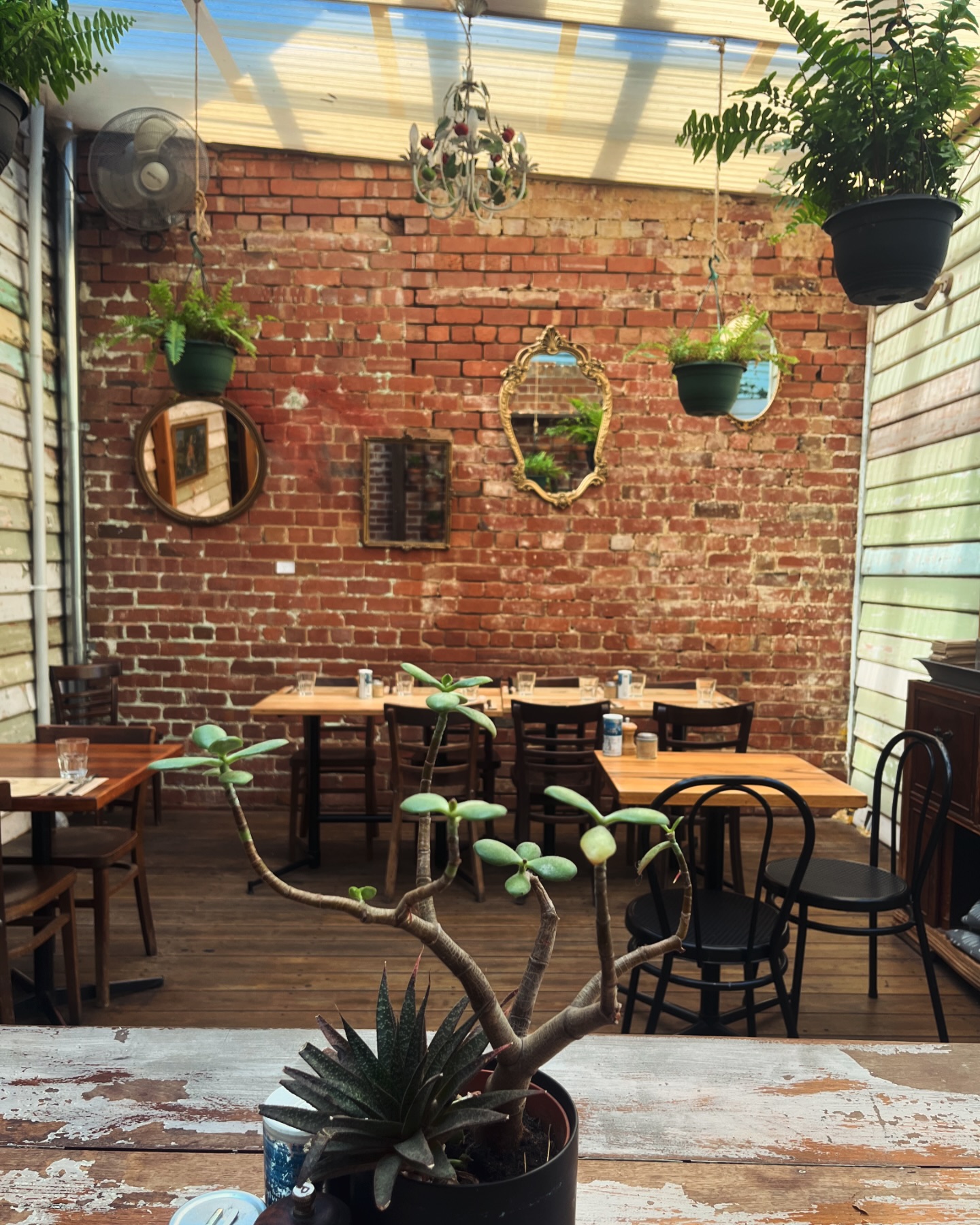 Fig and Walnut Cafe