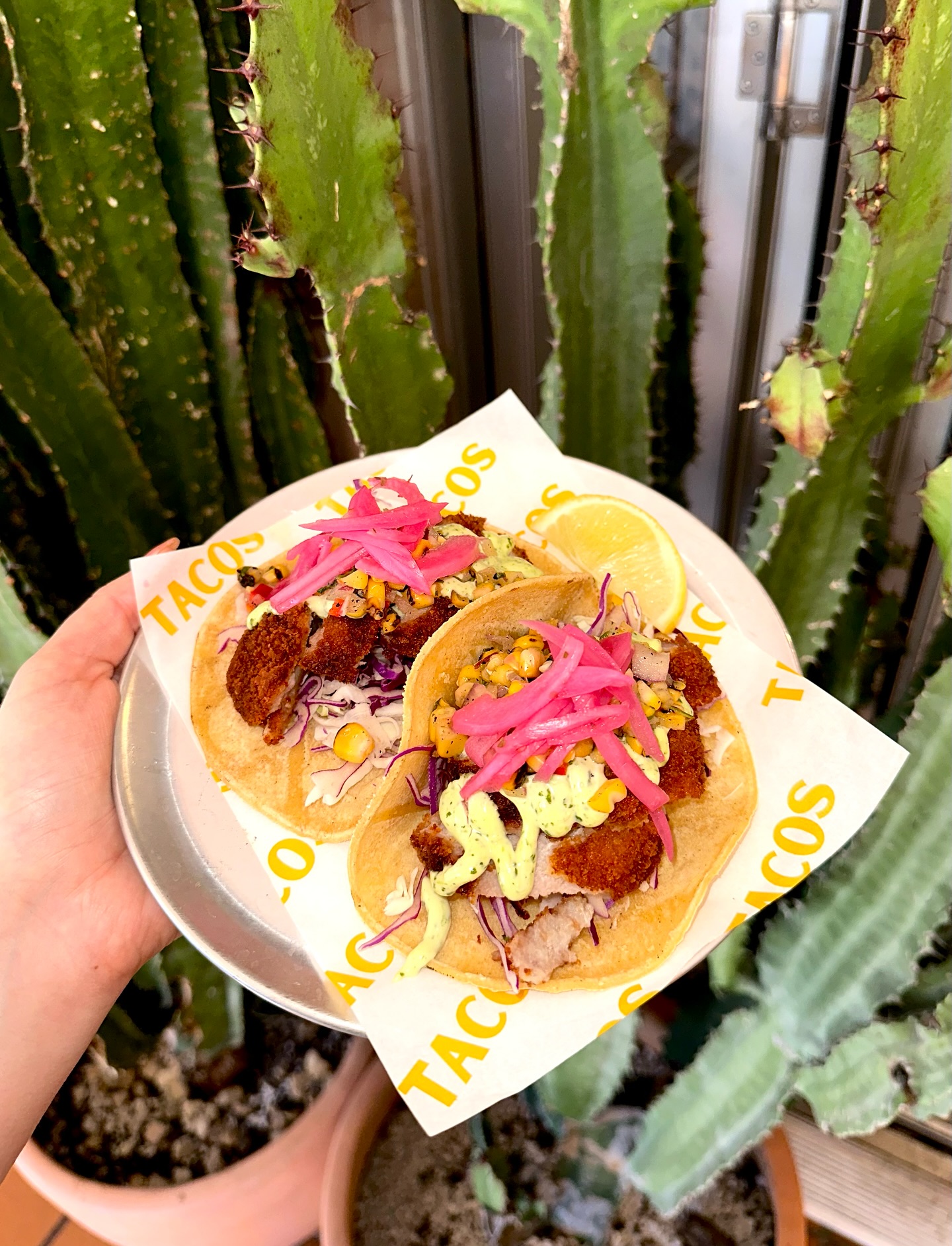 La Bodega Taqueria - East Brisbane