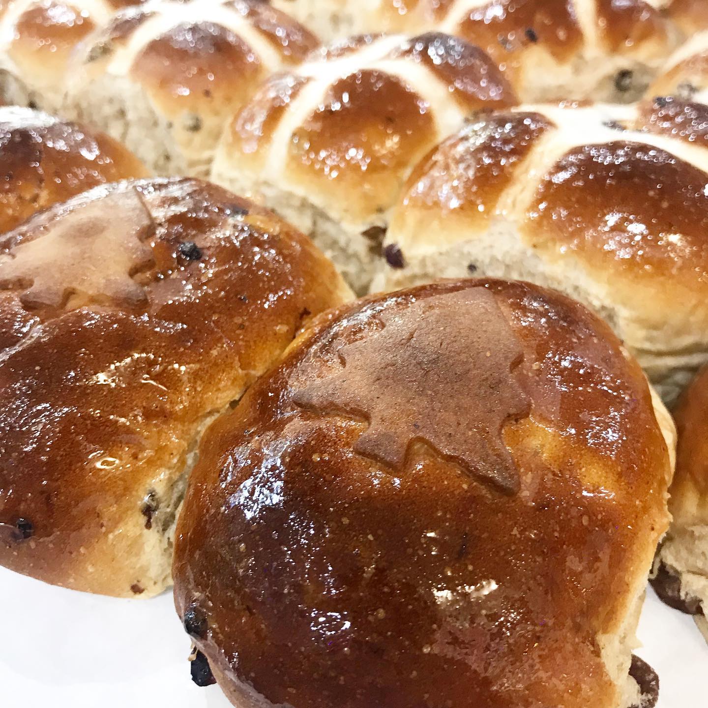 Wild Grains Bakehouse