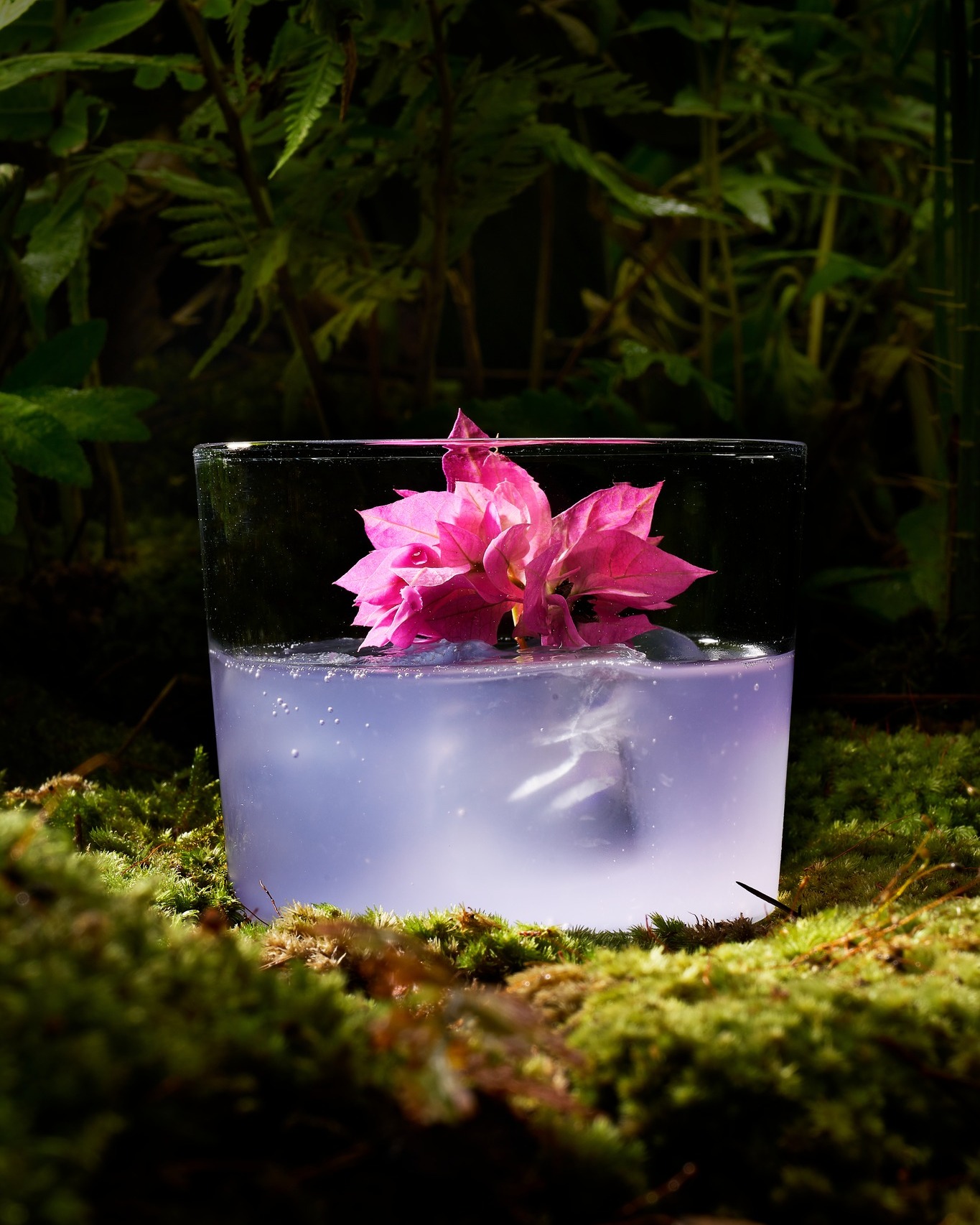 Herbivore by Locavore
