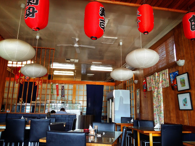 Shibuku Japanese Palmyra