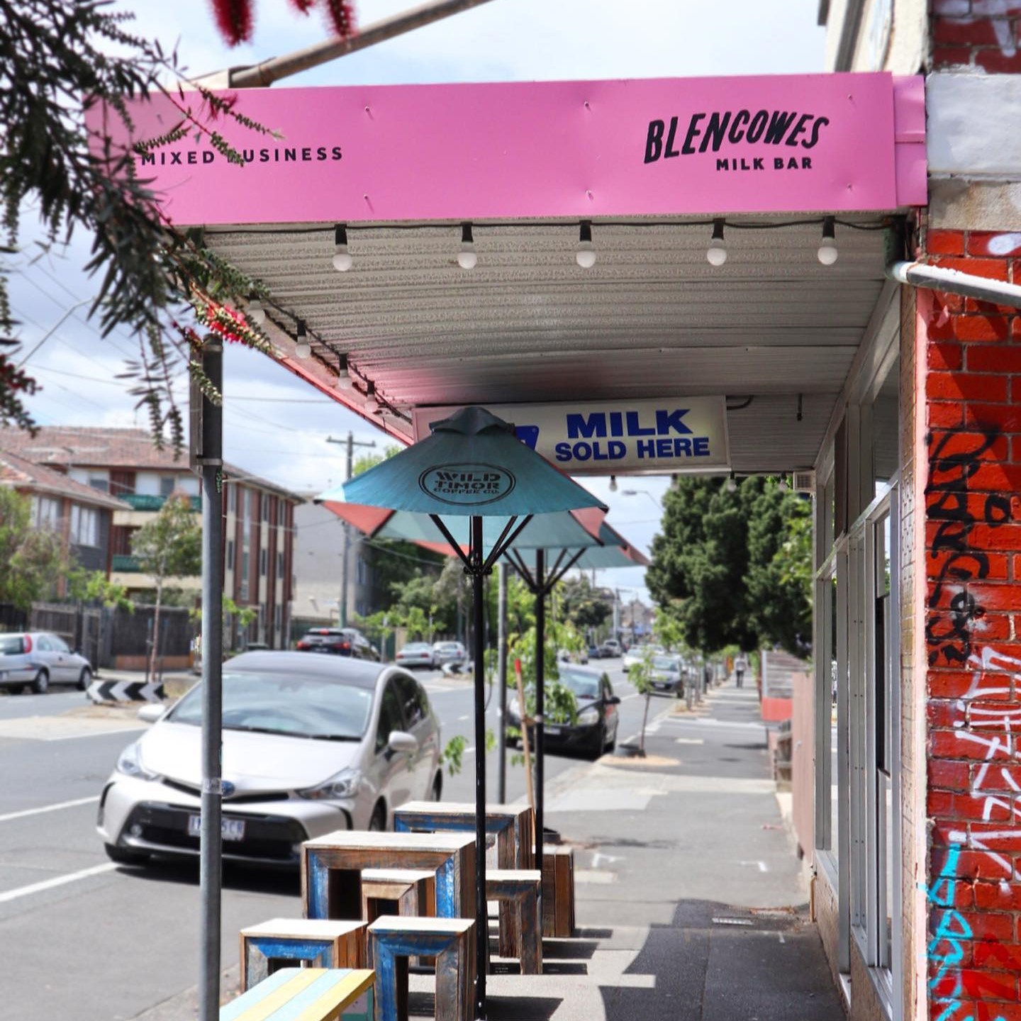 Wild Timor Coffee Coburg