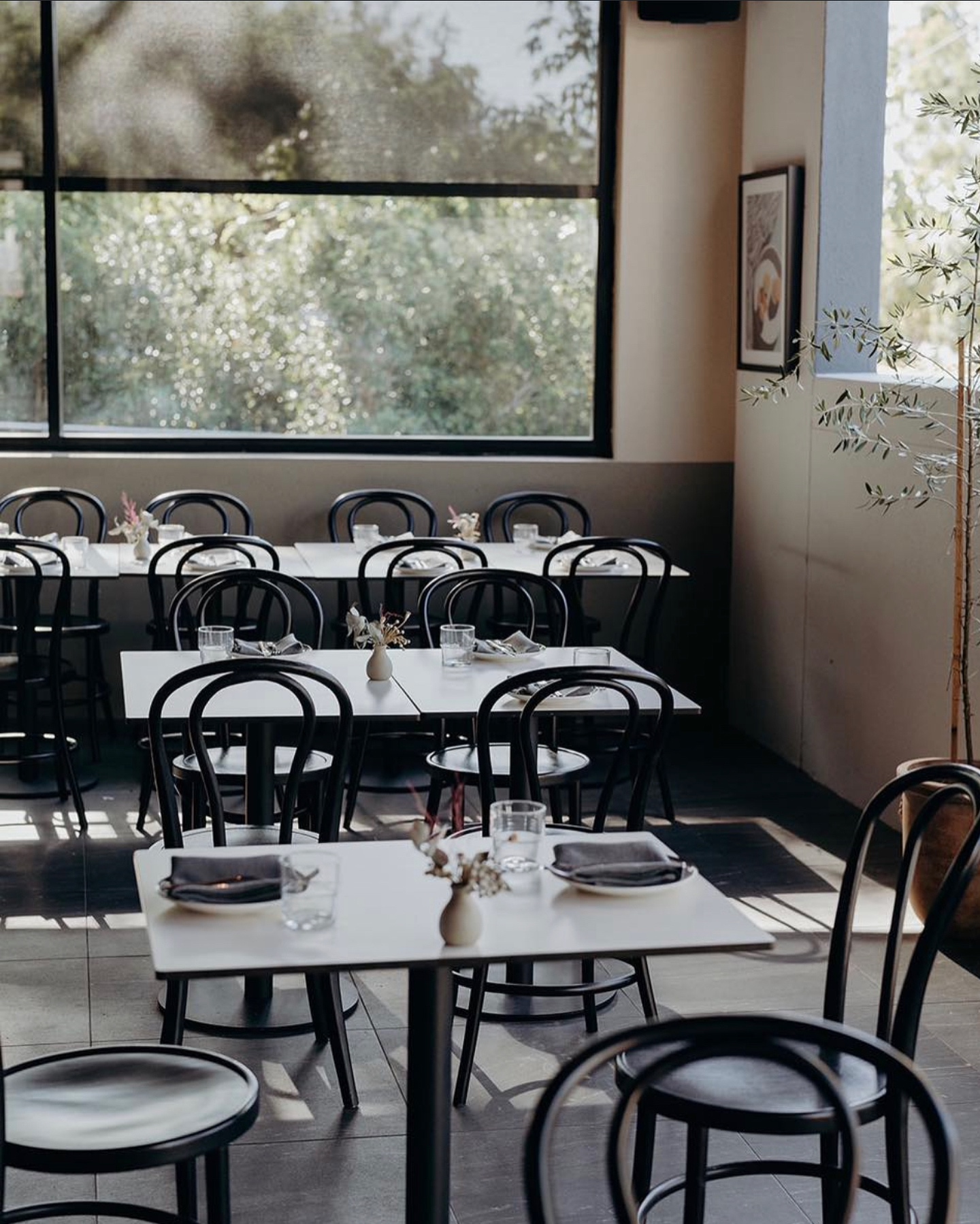 Ramona Trattoria || Coorparoo & Camp Hill