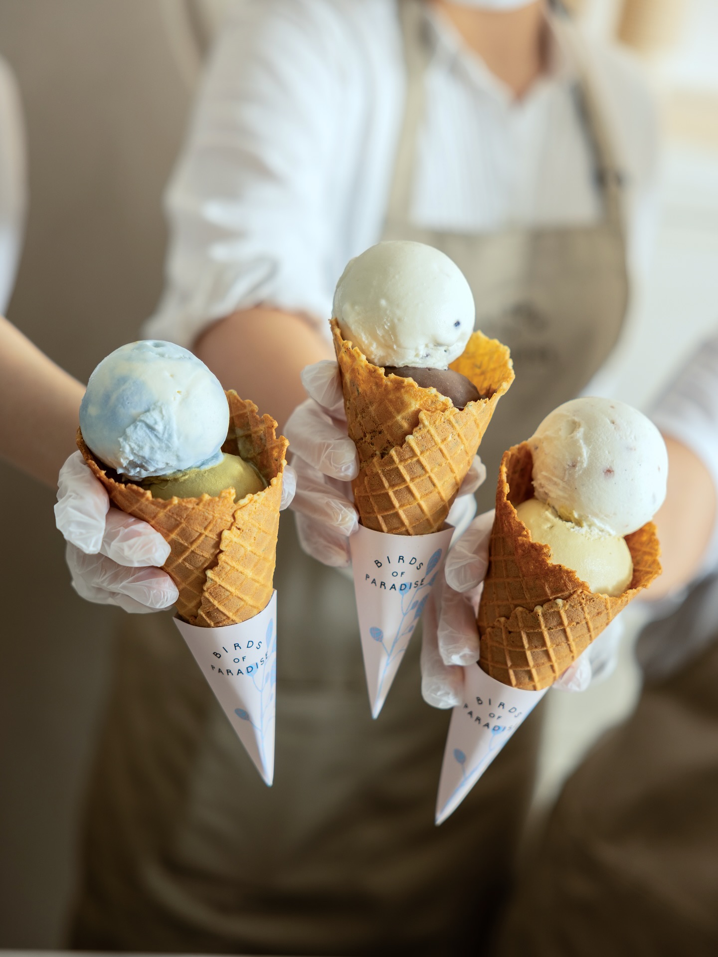 Birds of Paradise Gelato Boutique (Jewel Changi Airport)