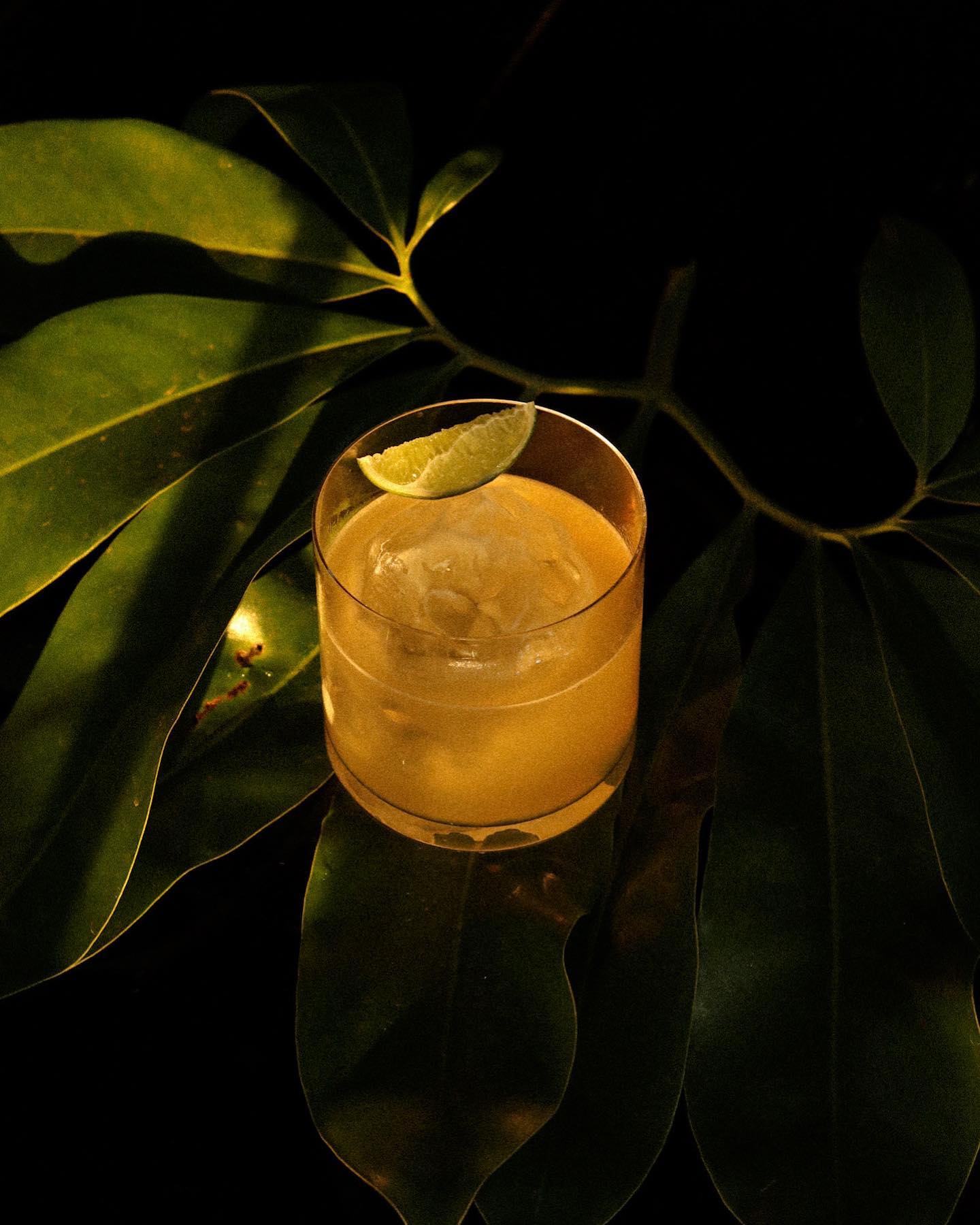Tichuca Rooftop Bar