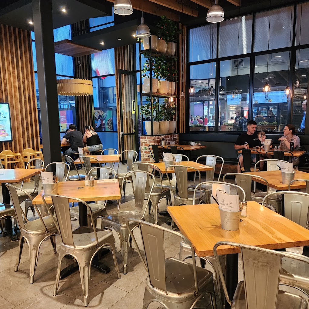 Schnitz Orion Springfield