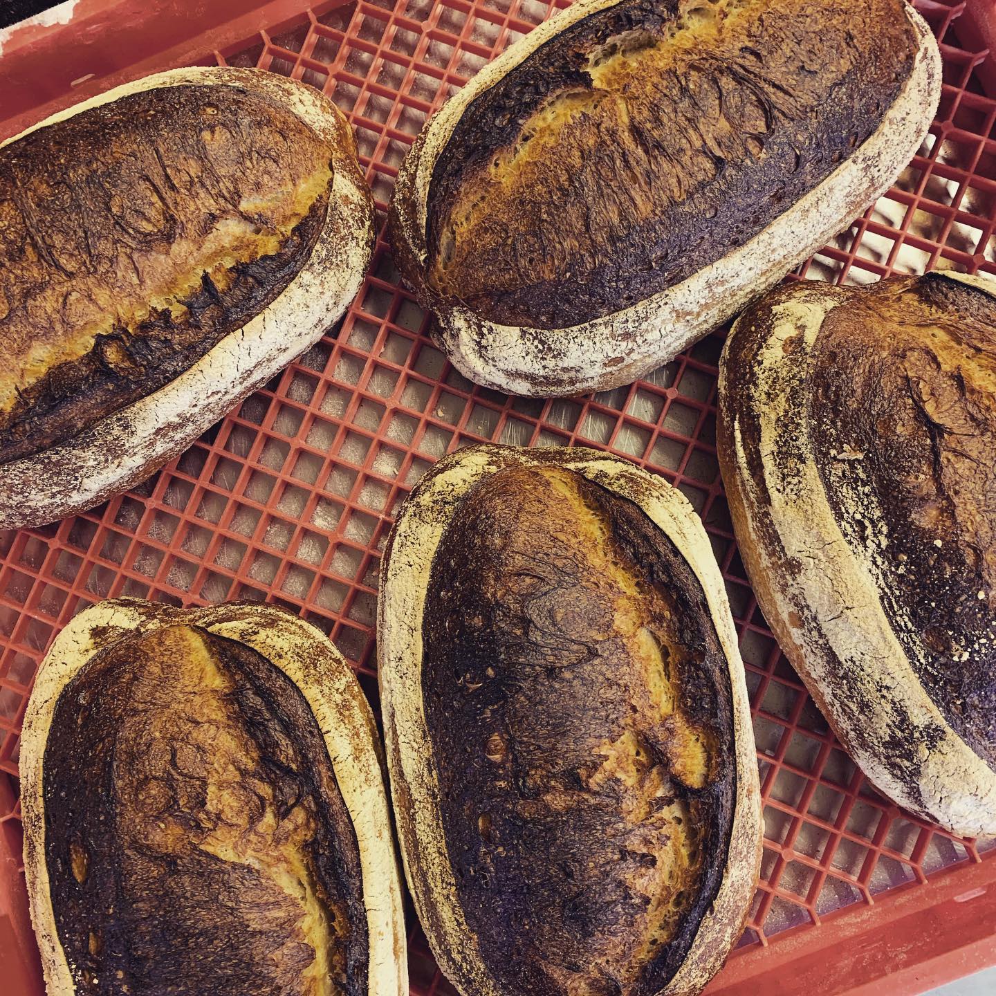 Staple Bread & Necessities Seaforth