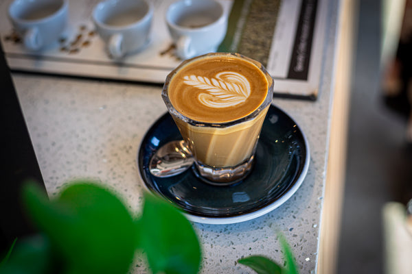 Darkstar Coffee Roasters
