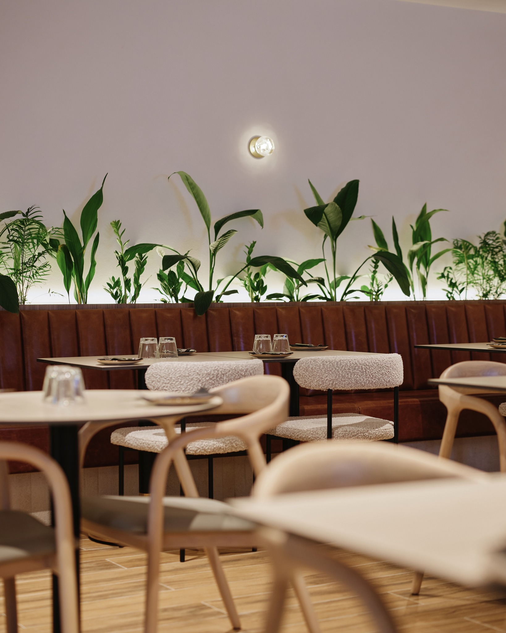 Faraday's Perth