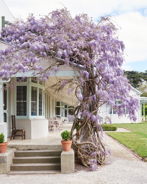 Coombe Yarra Valley