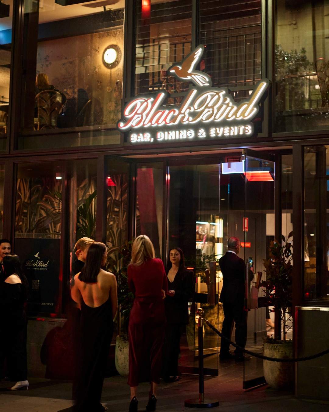 Blackbird Melbourne