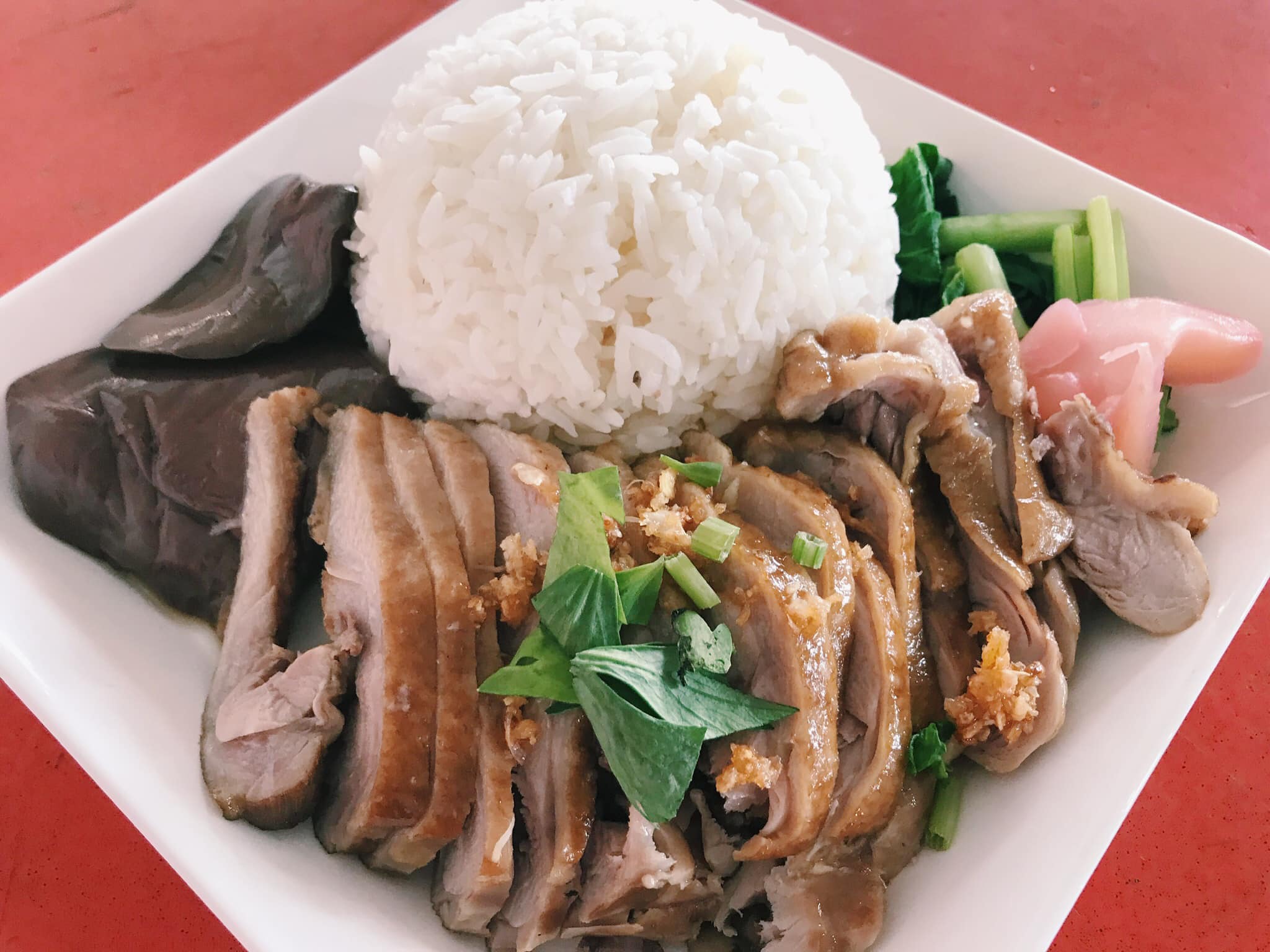Duck Noodle