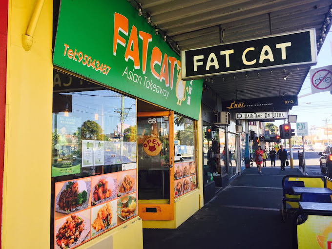 Fat Cat