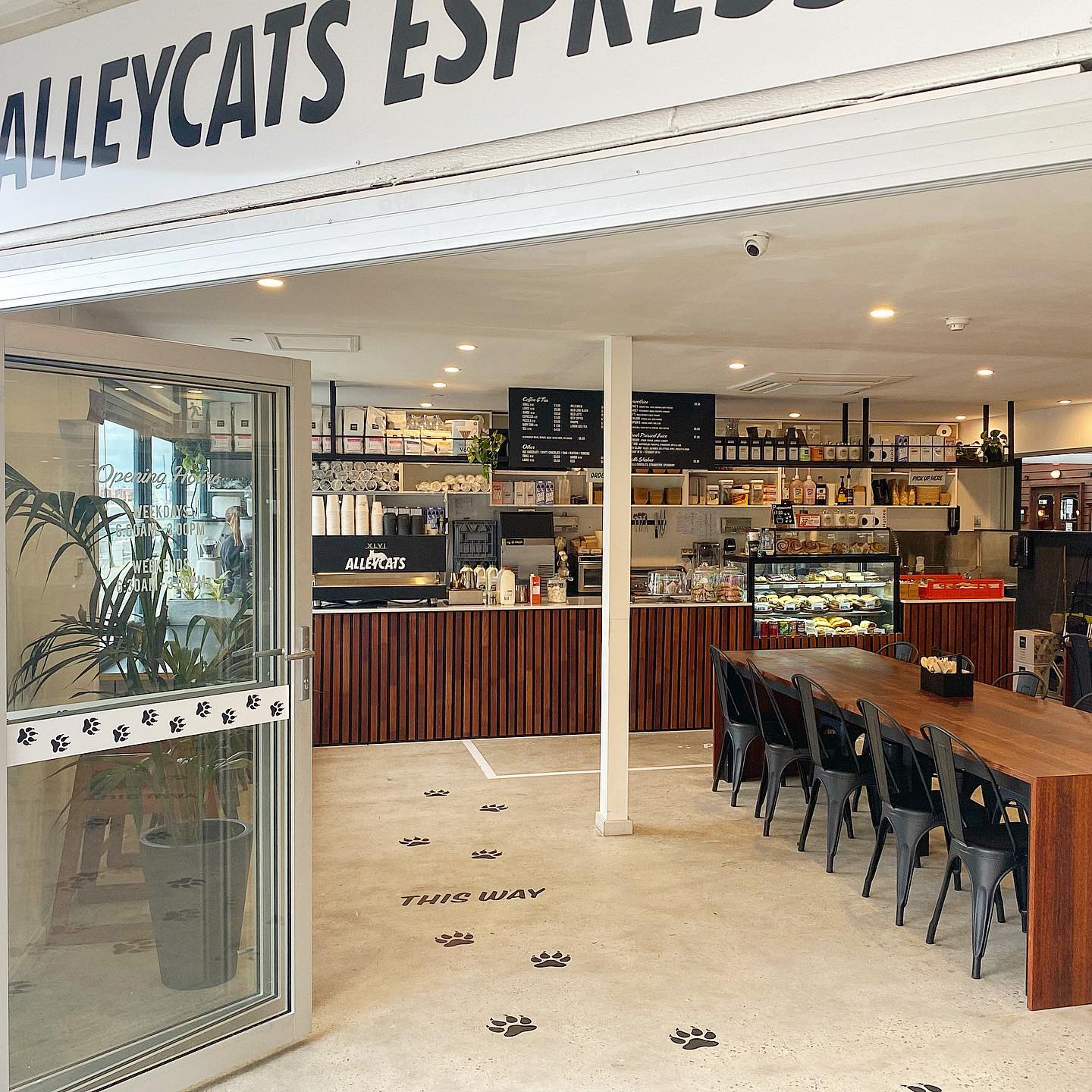Alleycats Espresso