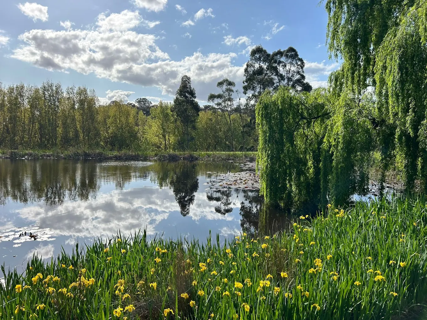 TarraWarra Yarra Valley Winery, Restaurant & Cellar Door