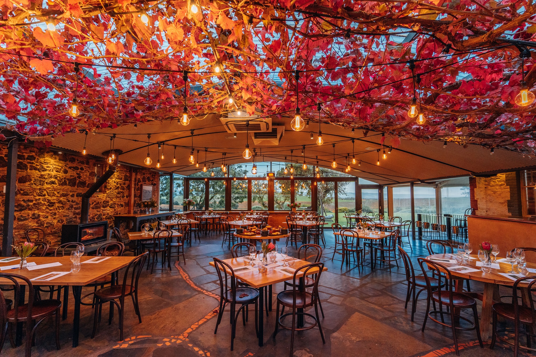 Coriole Vineyards