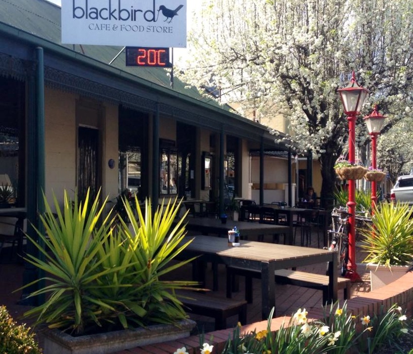 Blackbird Cafe
