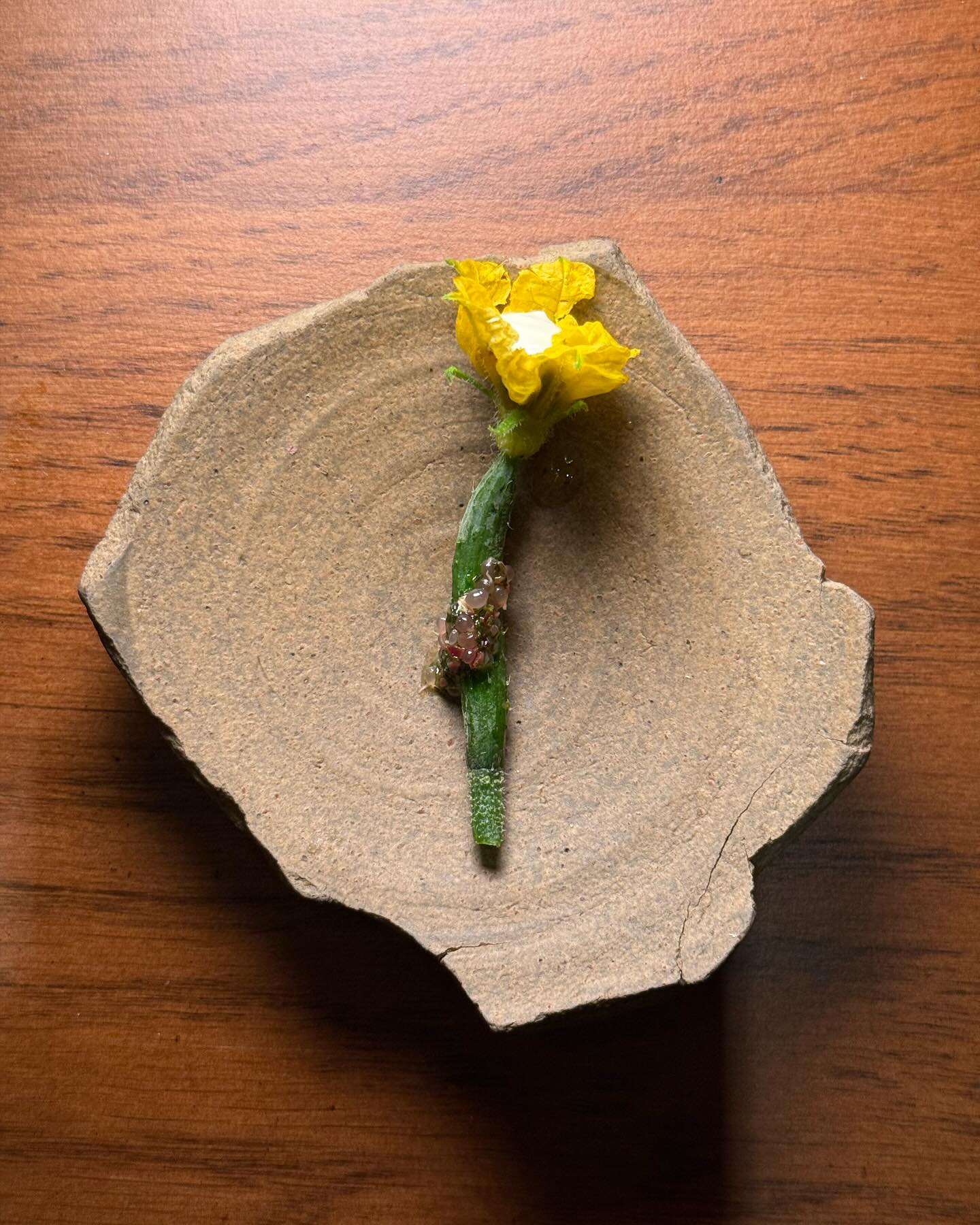 Ōre