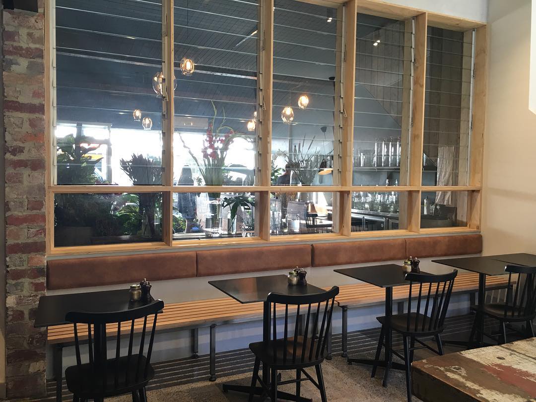 Cheeky Monkey