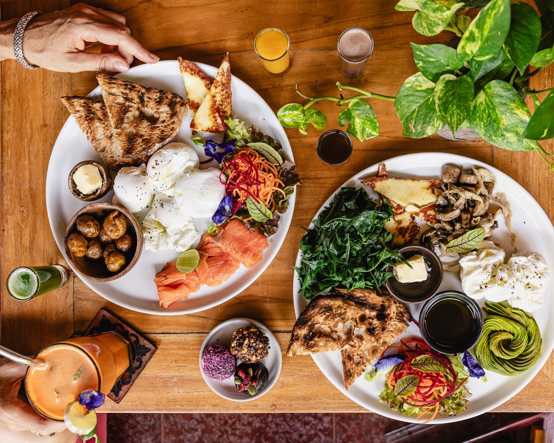 CAFE VIDA Healthy Organic Restaurant Canggu