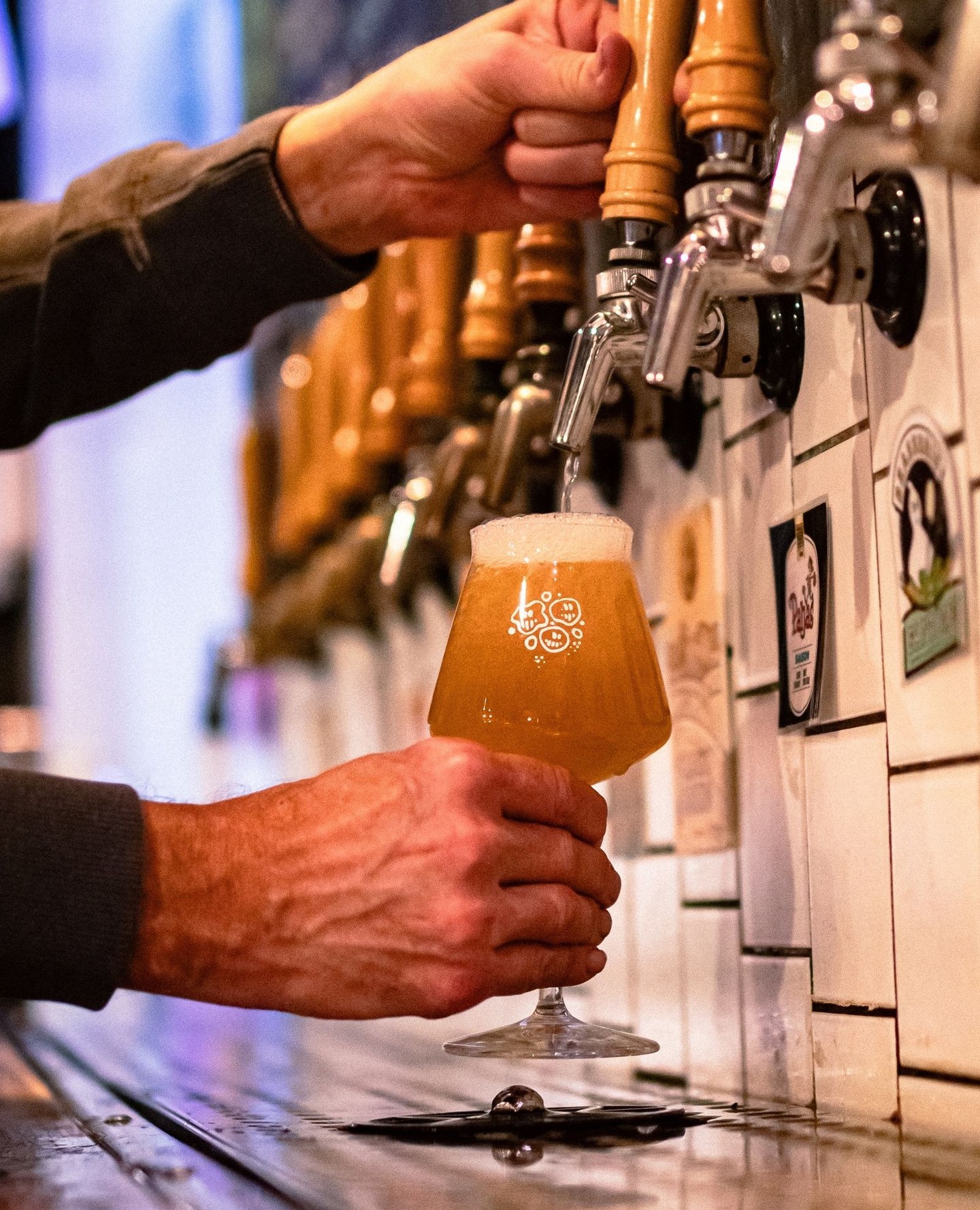 Saccharomyces Beer Cafe