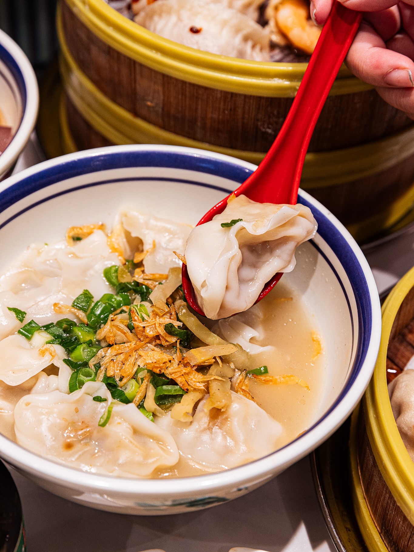 Nanjing Dumpling 小金陵