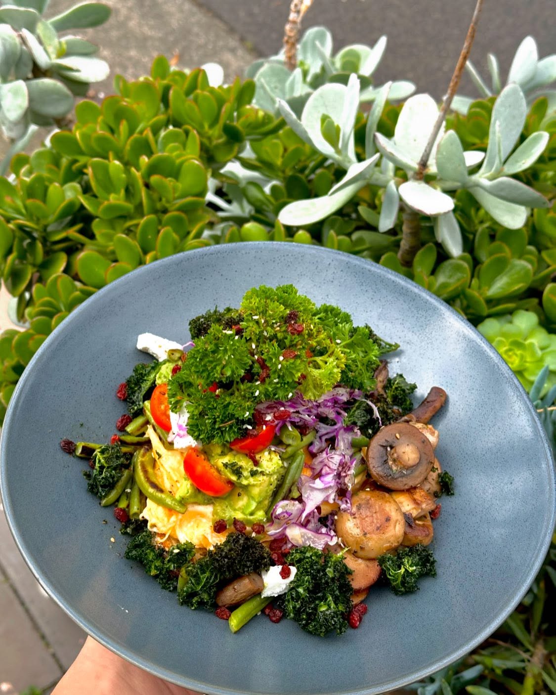 THE NICHOLSON COFFEE & EATERY