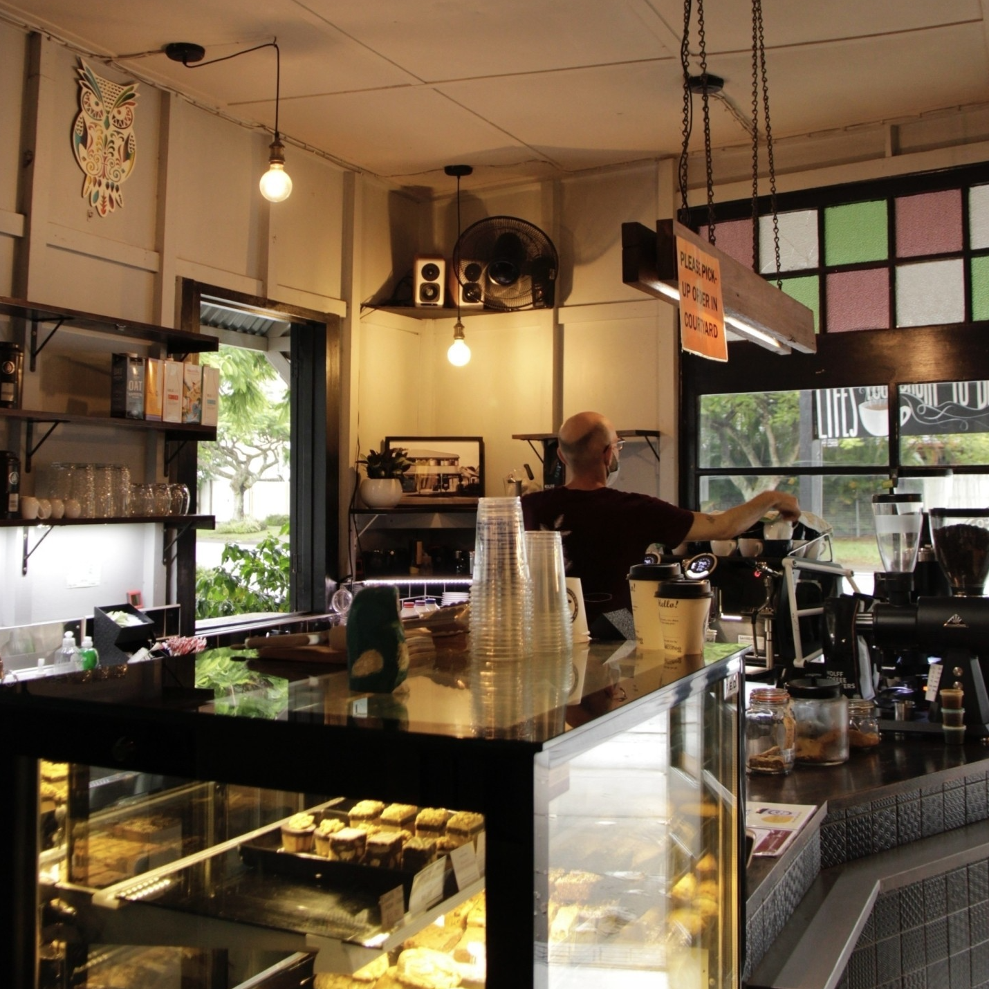 The Wired Owl Coffee Co