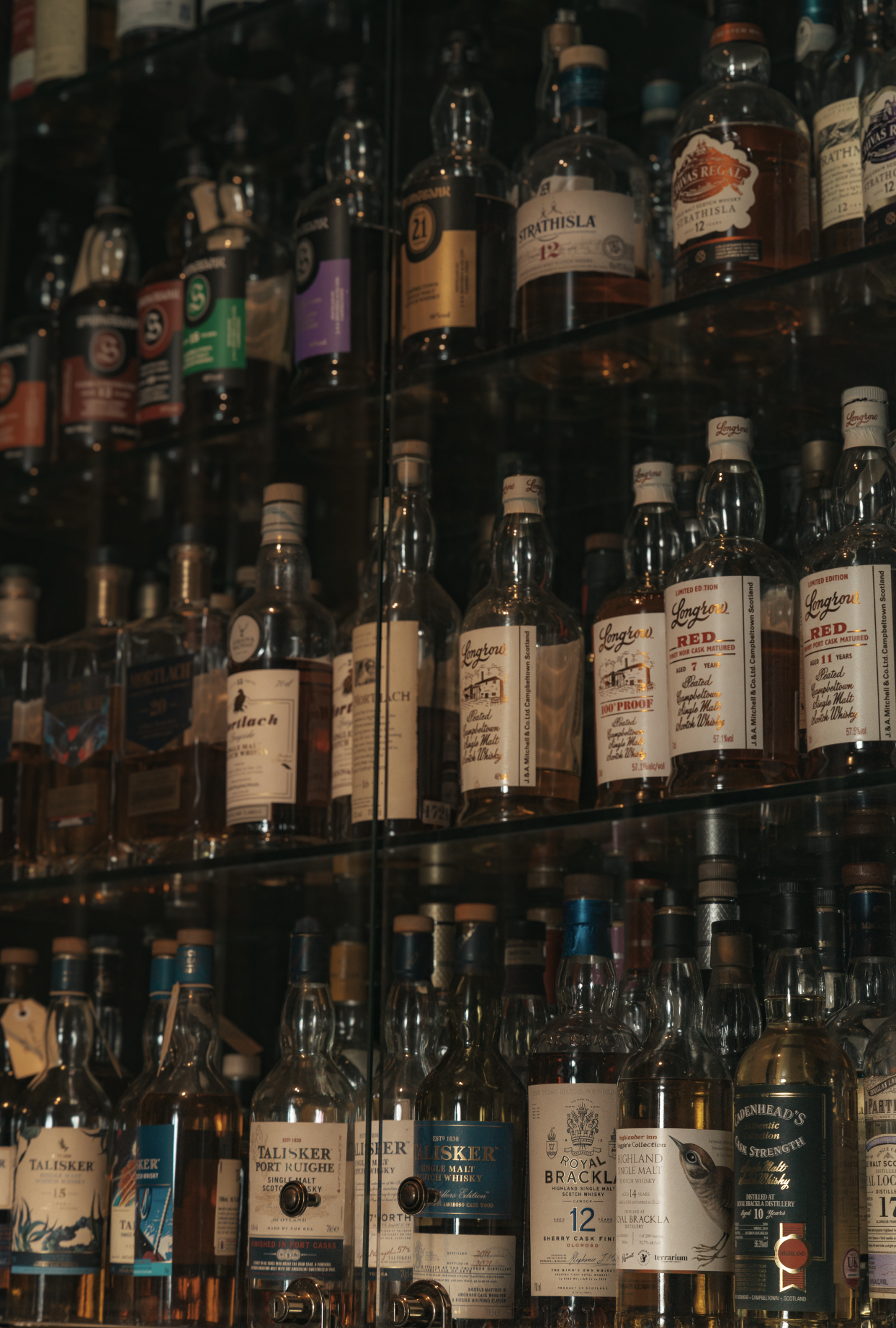 The Roosevelt