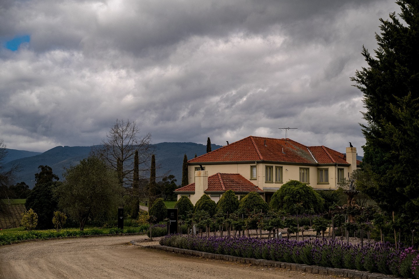 Tokar Estate