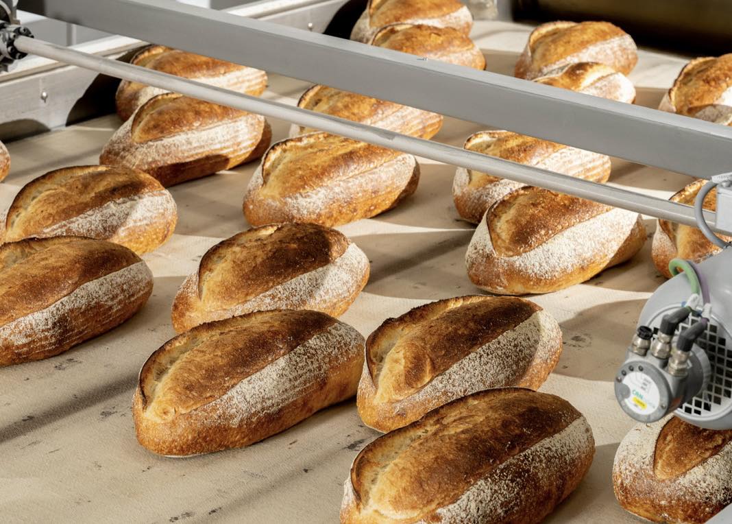 Pigeon Whole Bakers