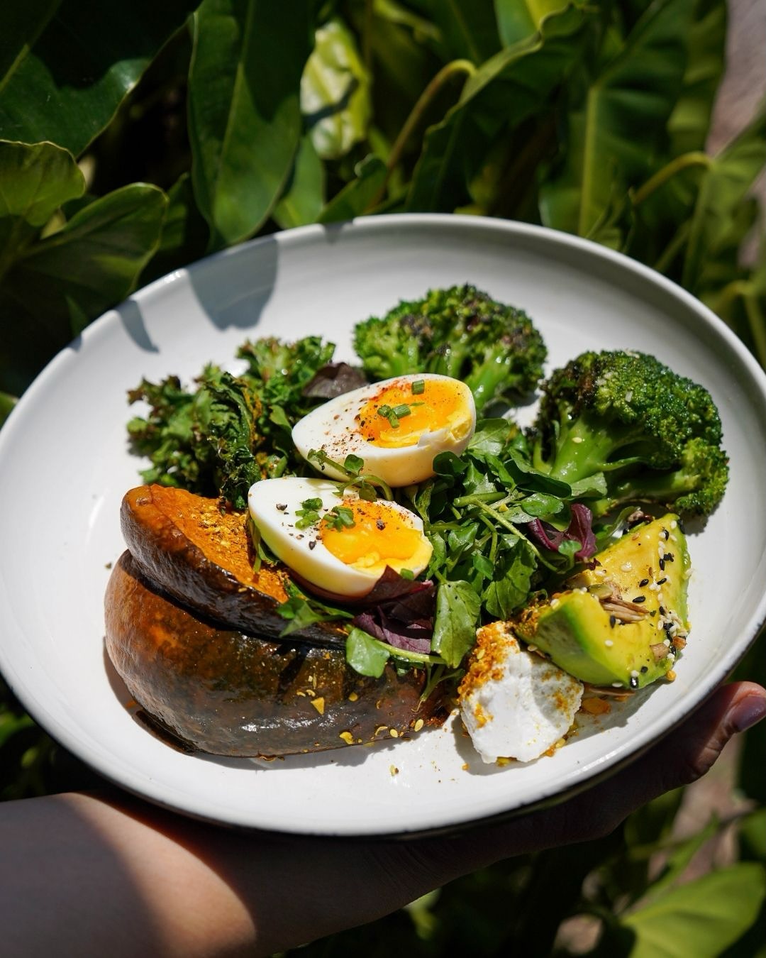 Watercress Ubud