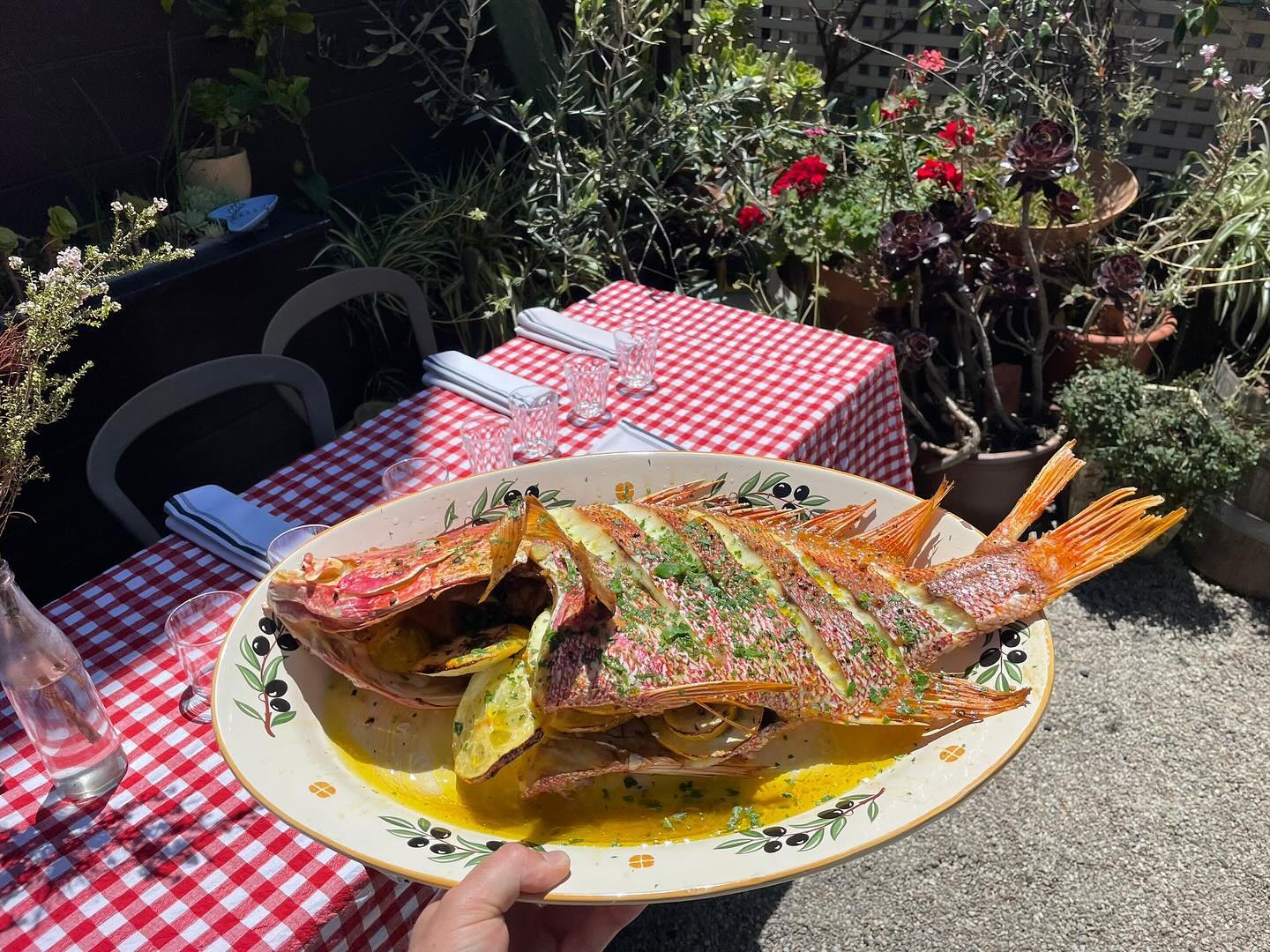 Zia Rina's Cucina