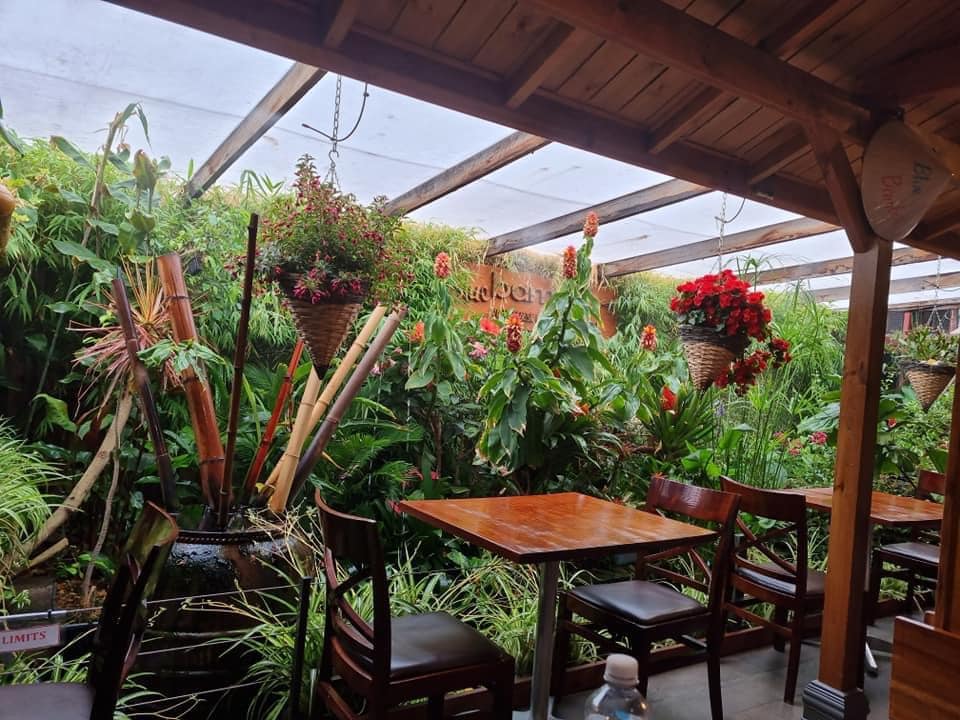 Blue Bamboo Restaurant and Cafe