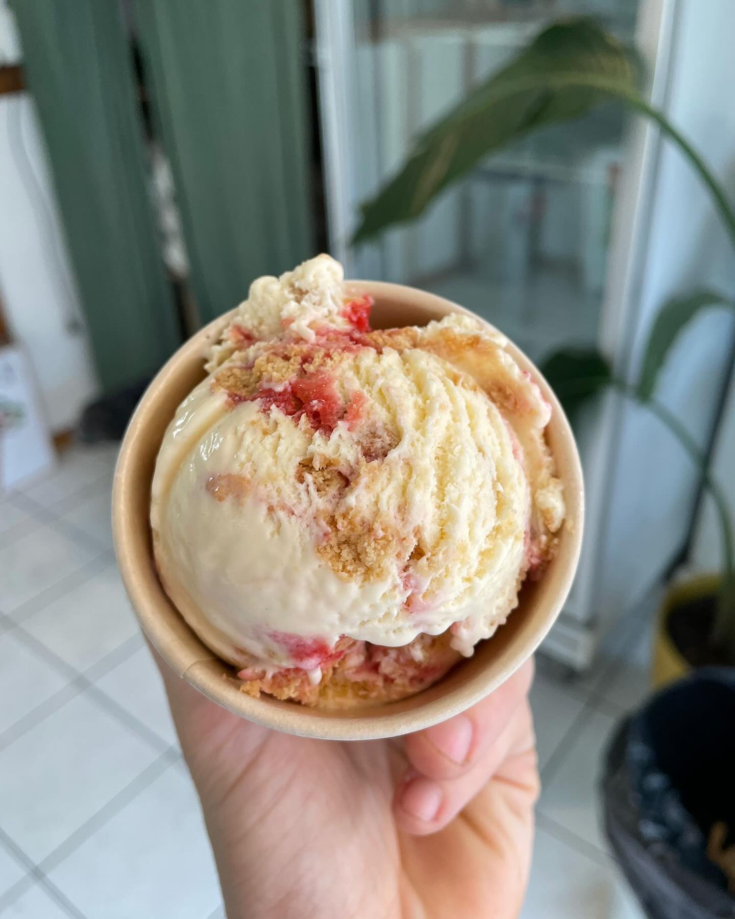 Luther's Scoops