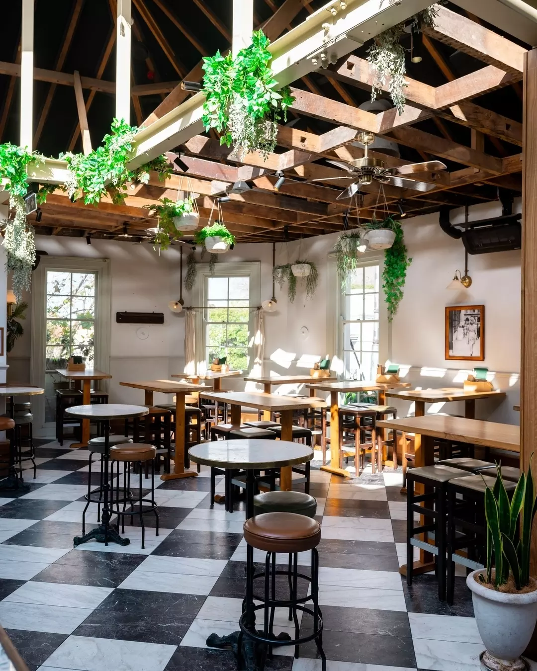 Tilly May's