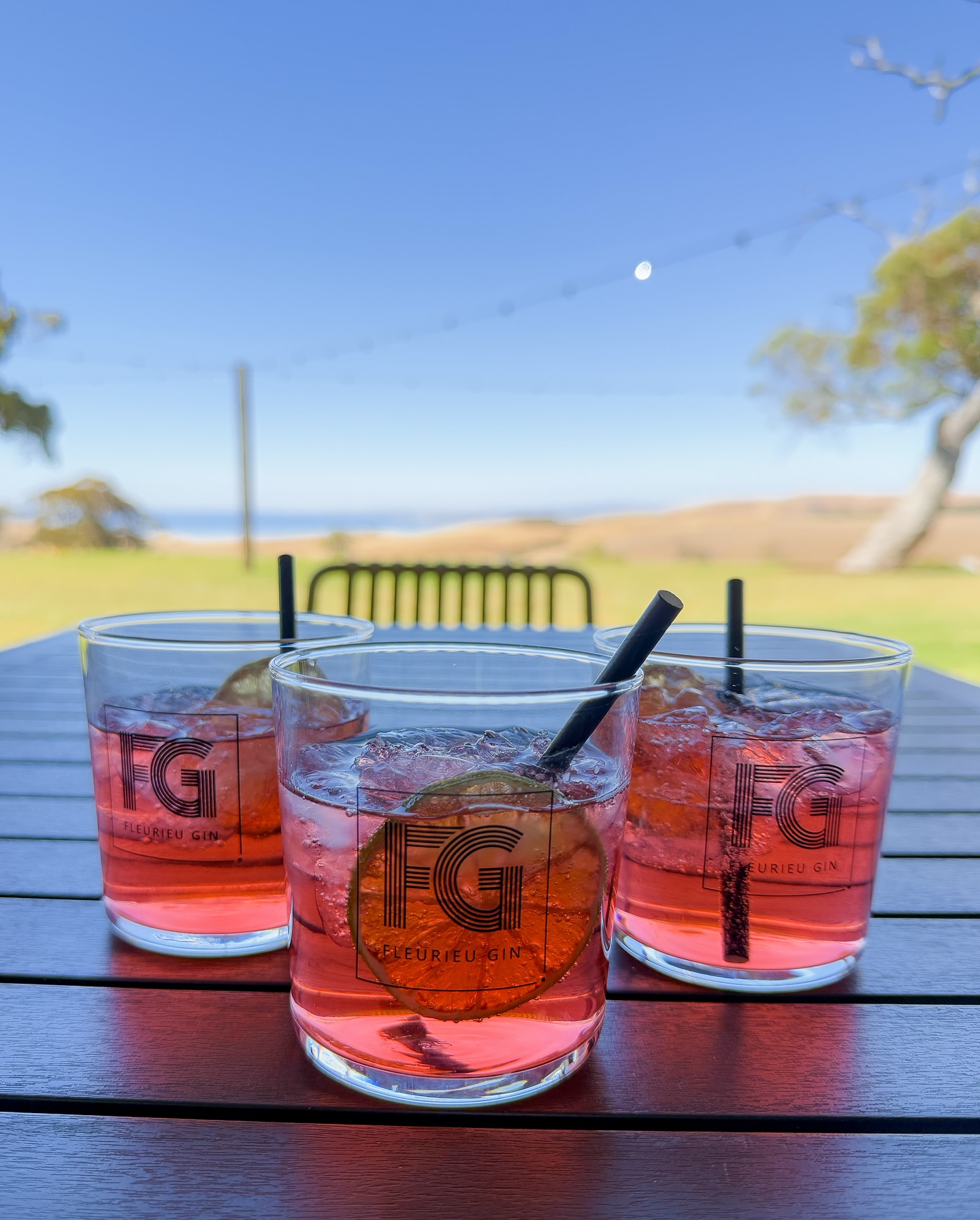 Fleurieu Gin
