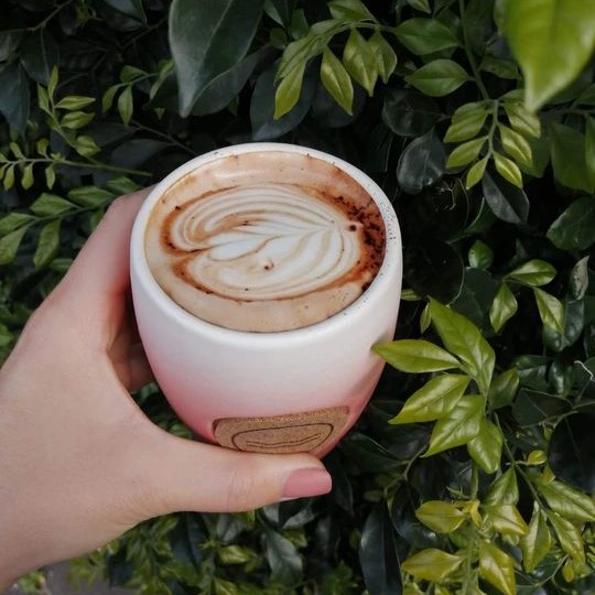 Wild Timor Coffee Coburg